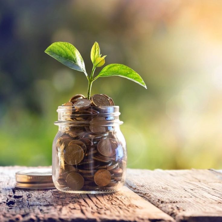 A jar with coins and a plant growing out of it.